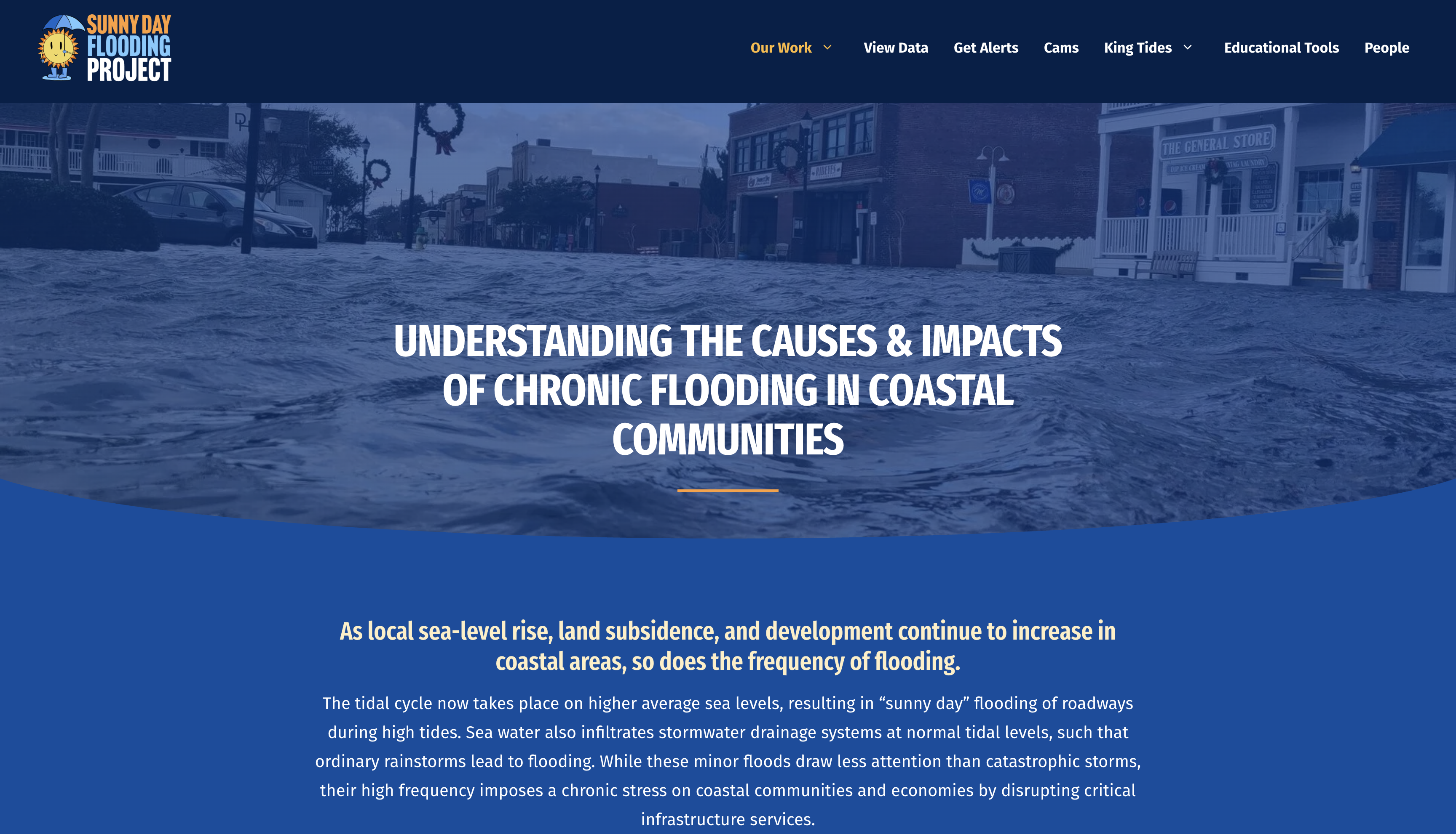 sunnydayflooding.com